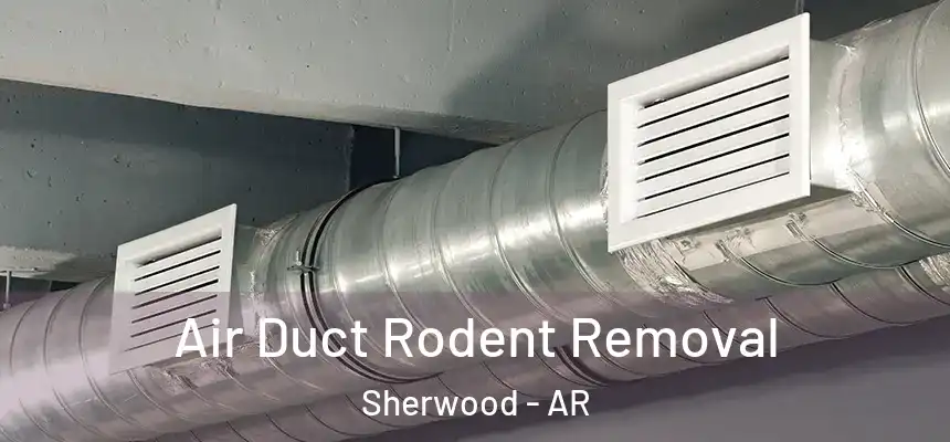 Air Duct Rodent Removal Sherwood - AR