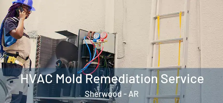 HVAC Mold Remediation Service Sherwood - AR