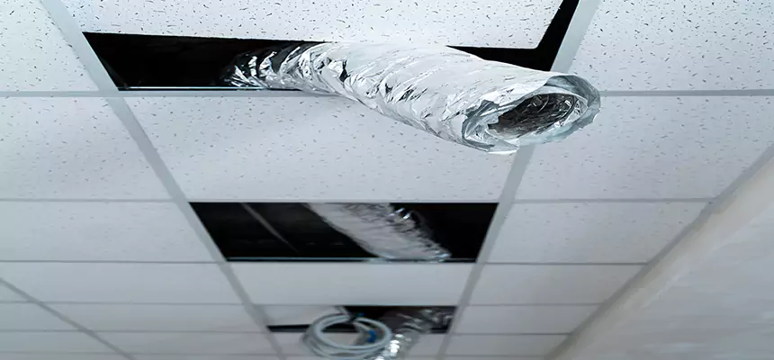 Our Air Duct Pet Hair Removal Services in Sherwood, AR