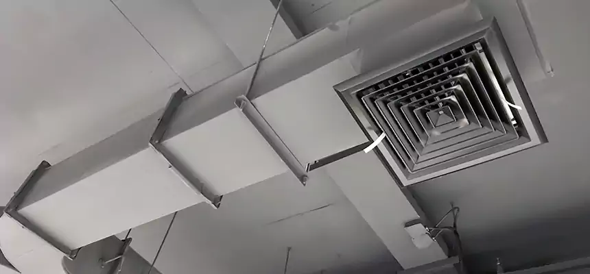 Restorative Allergy Relief Vent Cleaning – Coil, Blower & Housing Detail in Sherwood