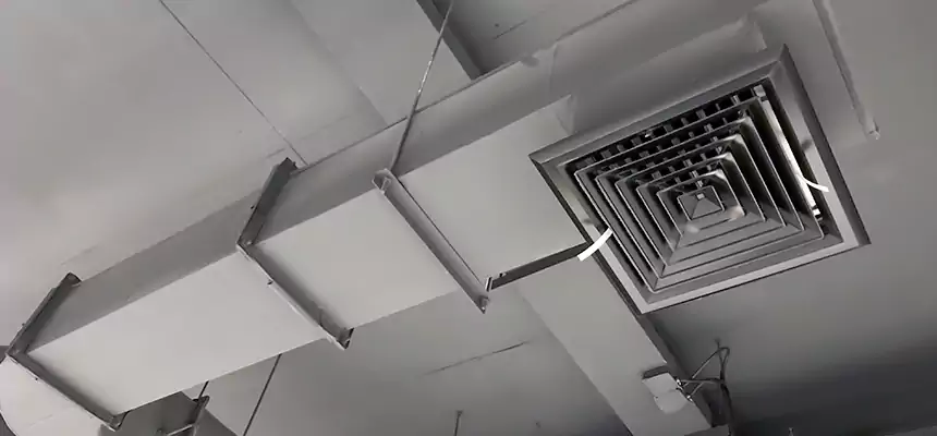 Our Pest Removal From Ducts Services in Sherwood, AR