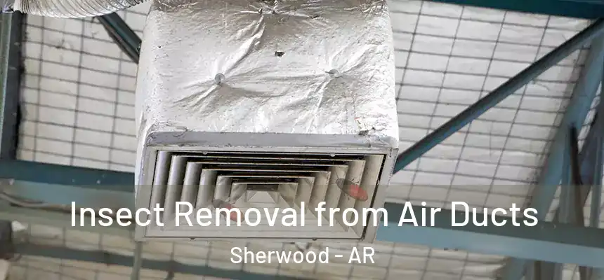 Insect Removal from Air Ducts Sherwood - AR
