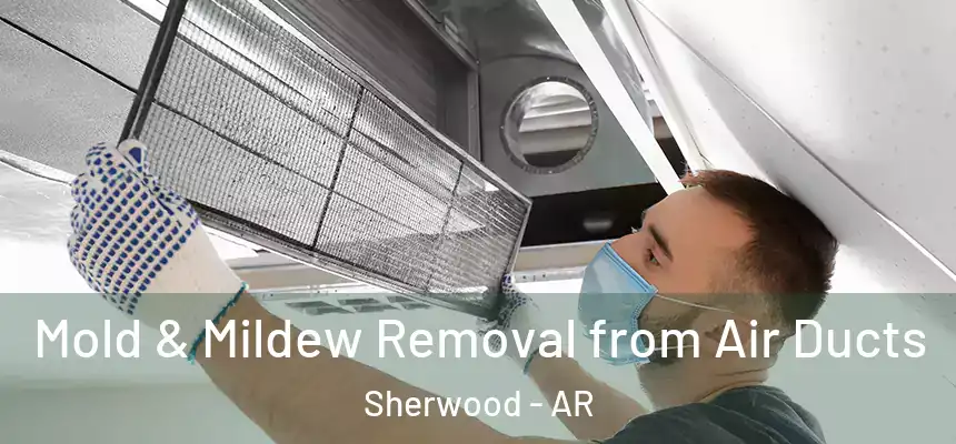 Mold & Mildew Removal from Air Ducts Sherwood - AR