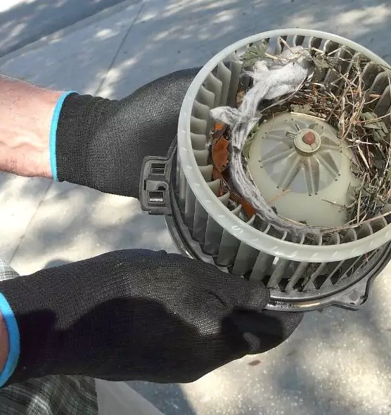 About Air Duct Mice Removal in Sherwood, AR