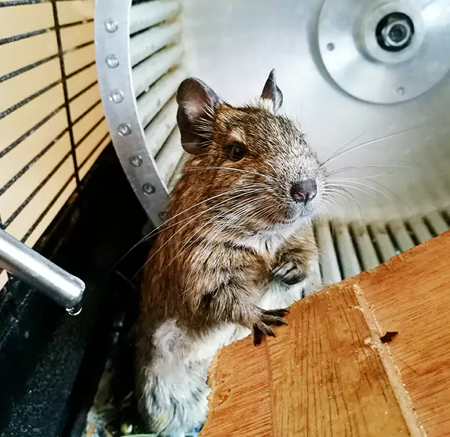 Why Homeowners & Businesses Trust Us Sherwood, AR?